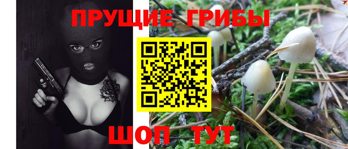 Псилоцибиновые грибы мицелий Торжок